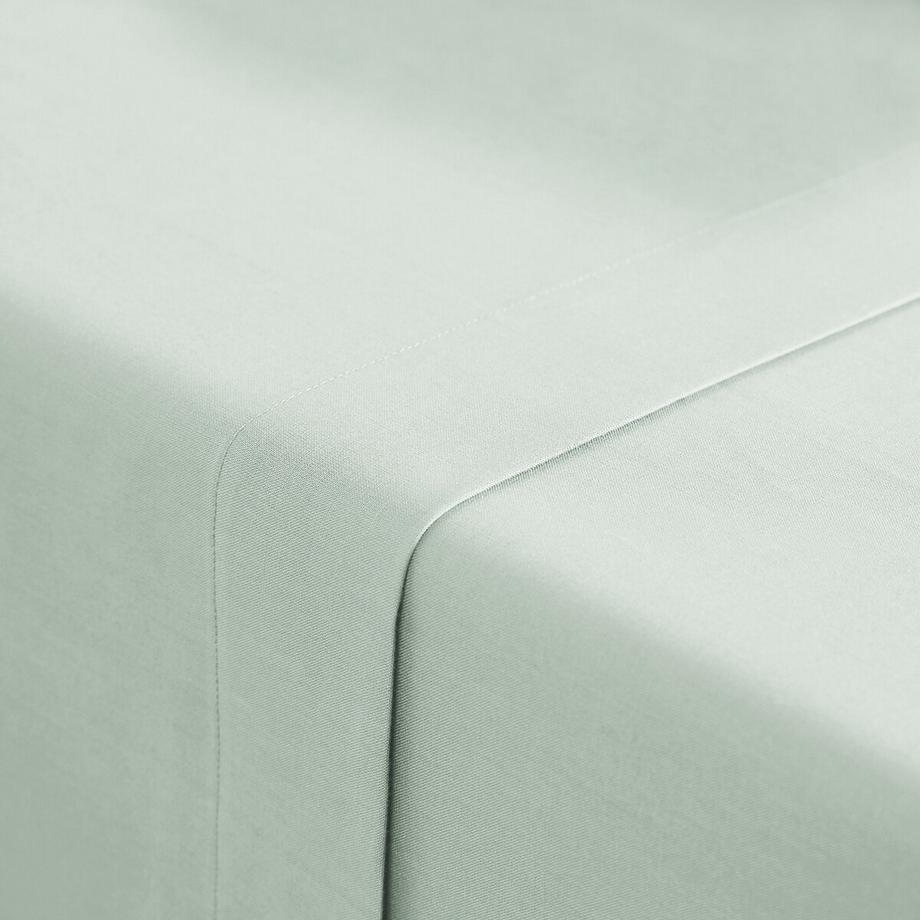 La Redoute Intérieurs Drap plat en coton Scenario  