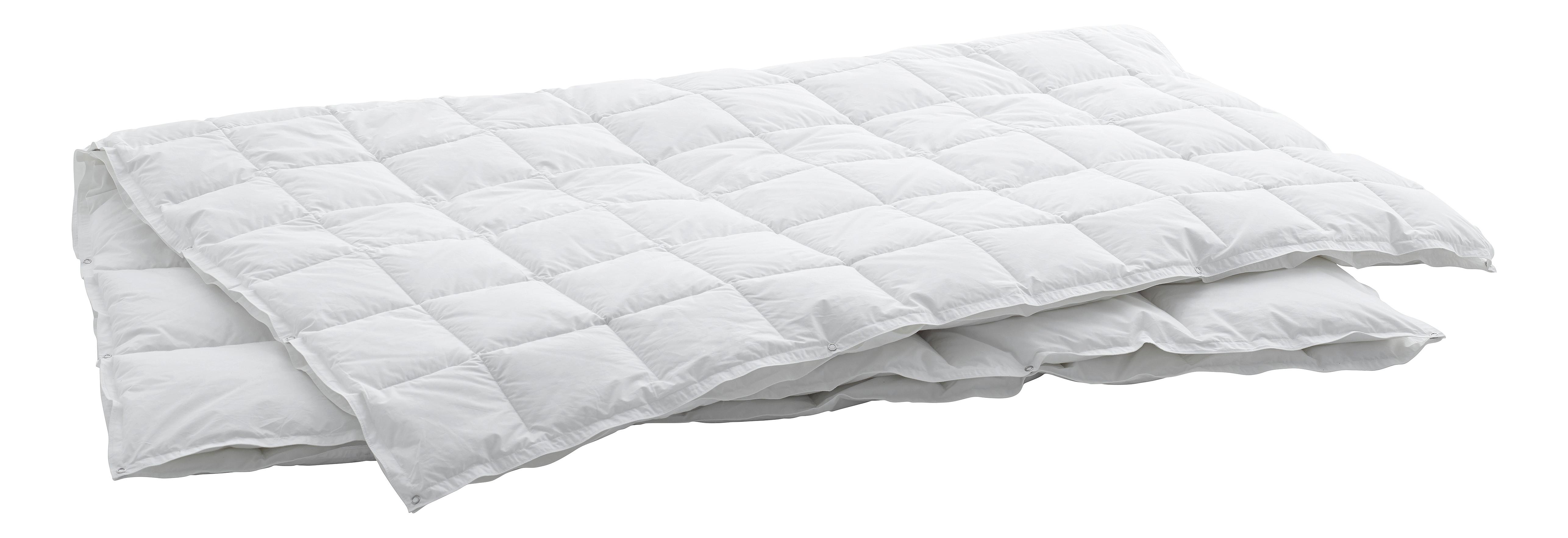 Swiss Dream Duvet Caro 4-Saisons Basic 90  