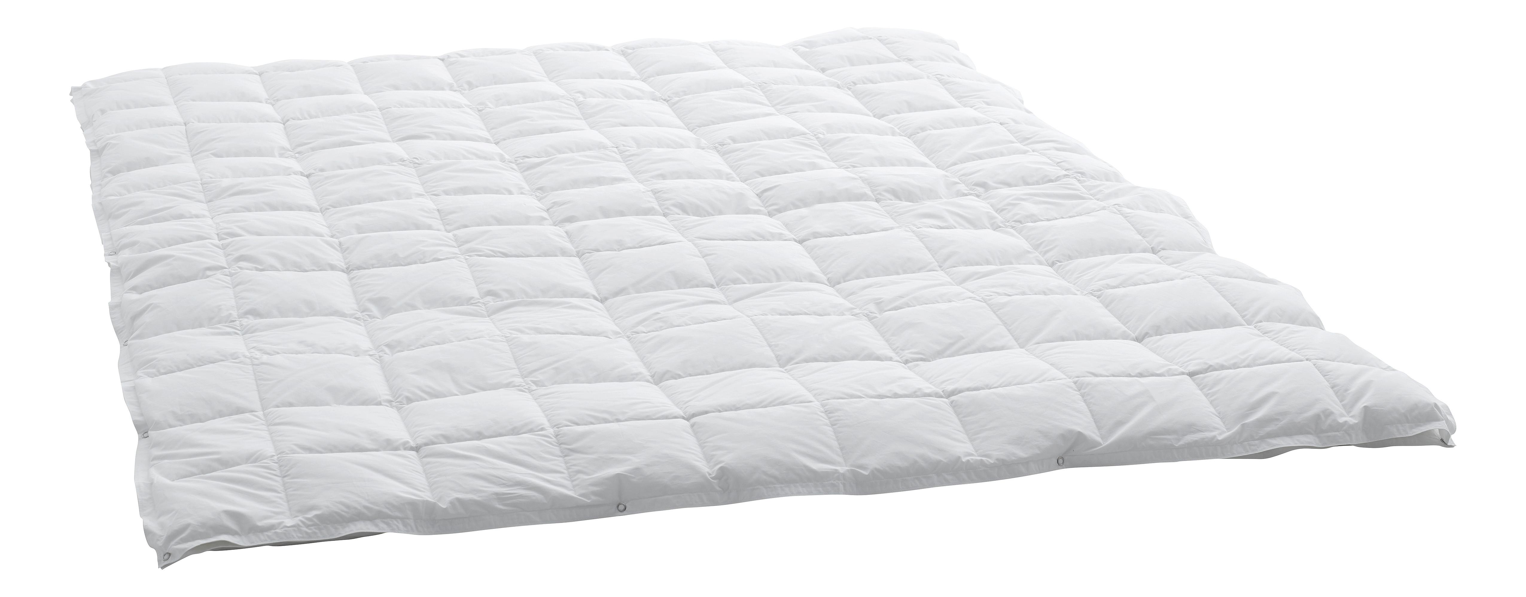 Swiss Dream Duvet Caro 4-Saisons Basic 90  