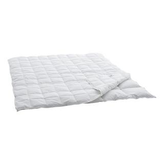 Swiss Dream Duvet Caro 4-Saisons Basic 90  