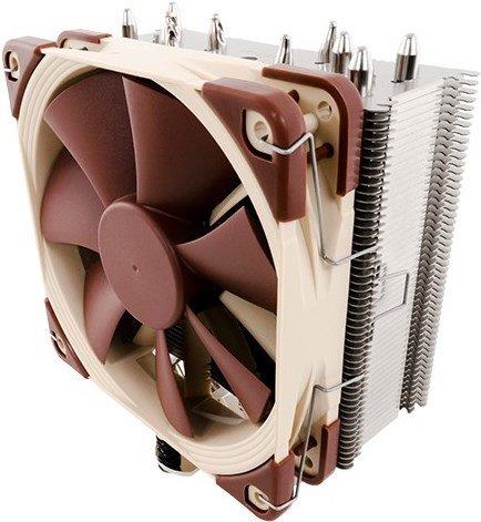 Noctua  Noctua 