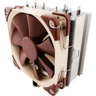 Noctua  Noctua 