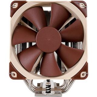 Noctua  Noctua 