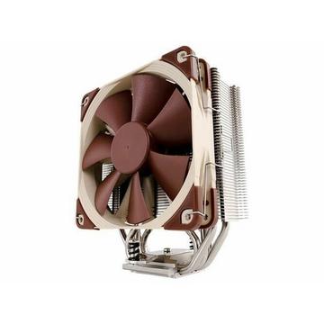 Noctua