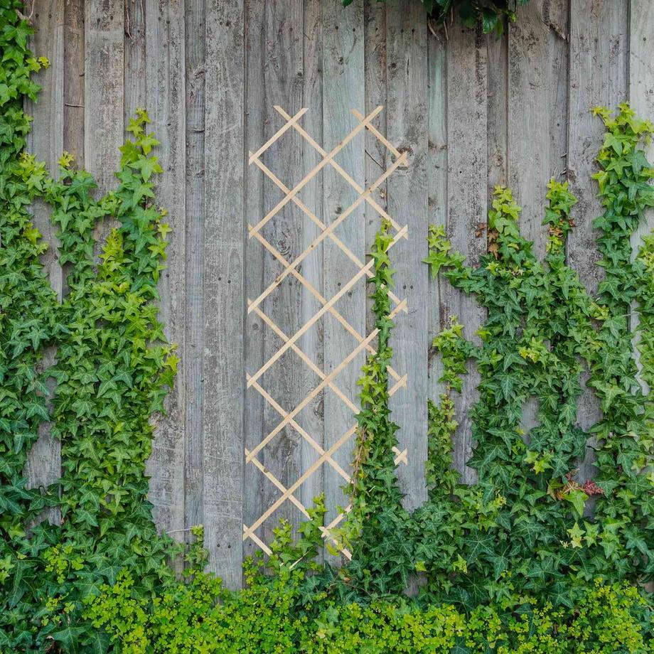 Northix Set di tralicci estensibili per piante  