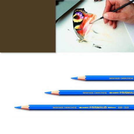 Caran d'Ache Artexport ME7610186843105 pastello colorato  