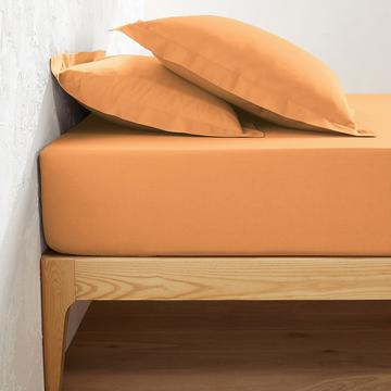 Fixleintuch Scenario