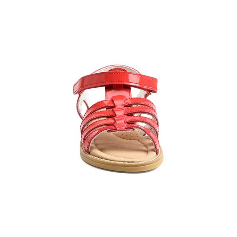 Benjie Berzona Sandales Gladiateur  