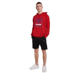 Hummel  sweatshirt à capuche huel isa 2.0 