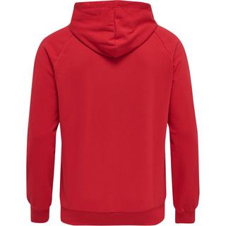 Hummel  sweatshirt à capuche huel isa 2.0 