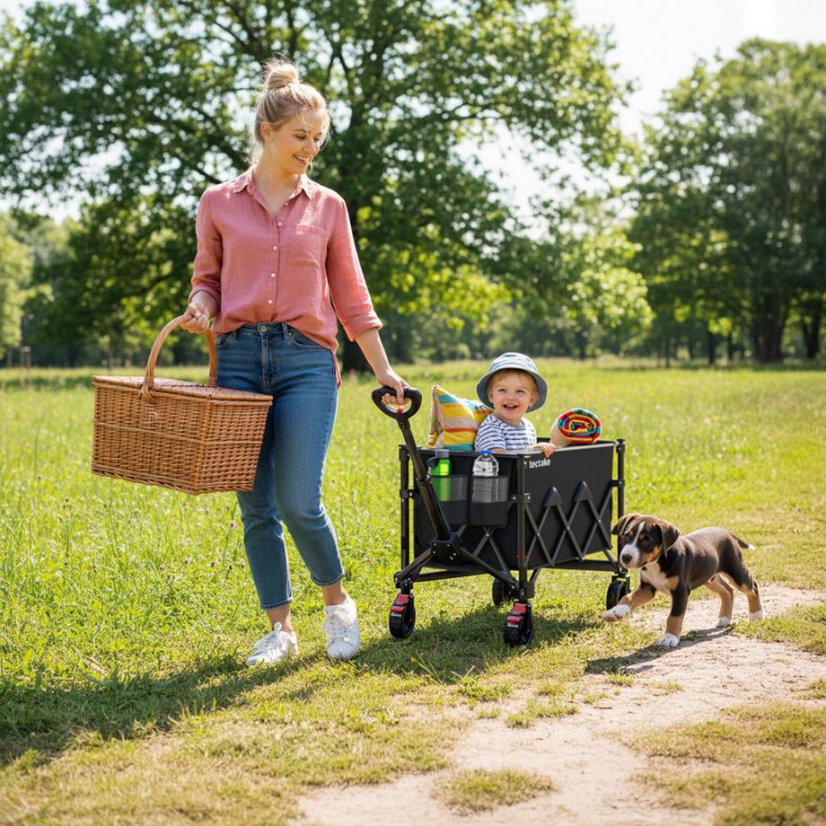 Tectake Chariot à bras ROLLRIDER pliable et compact 150 L  