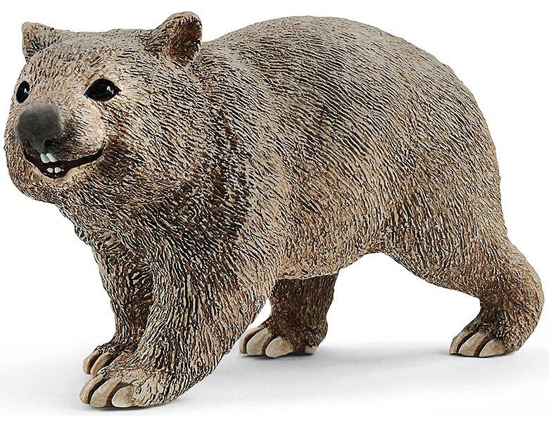 Image of Safari - Wombat 14834