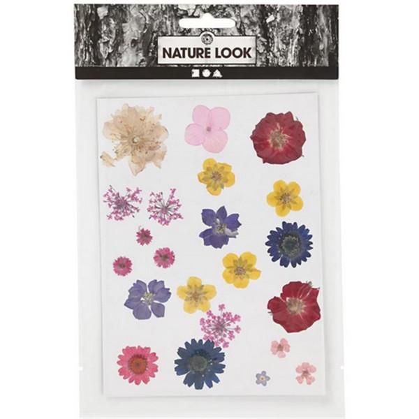 Image of 504475 Dekorativer Aufkleber Gemischte Farben