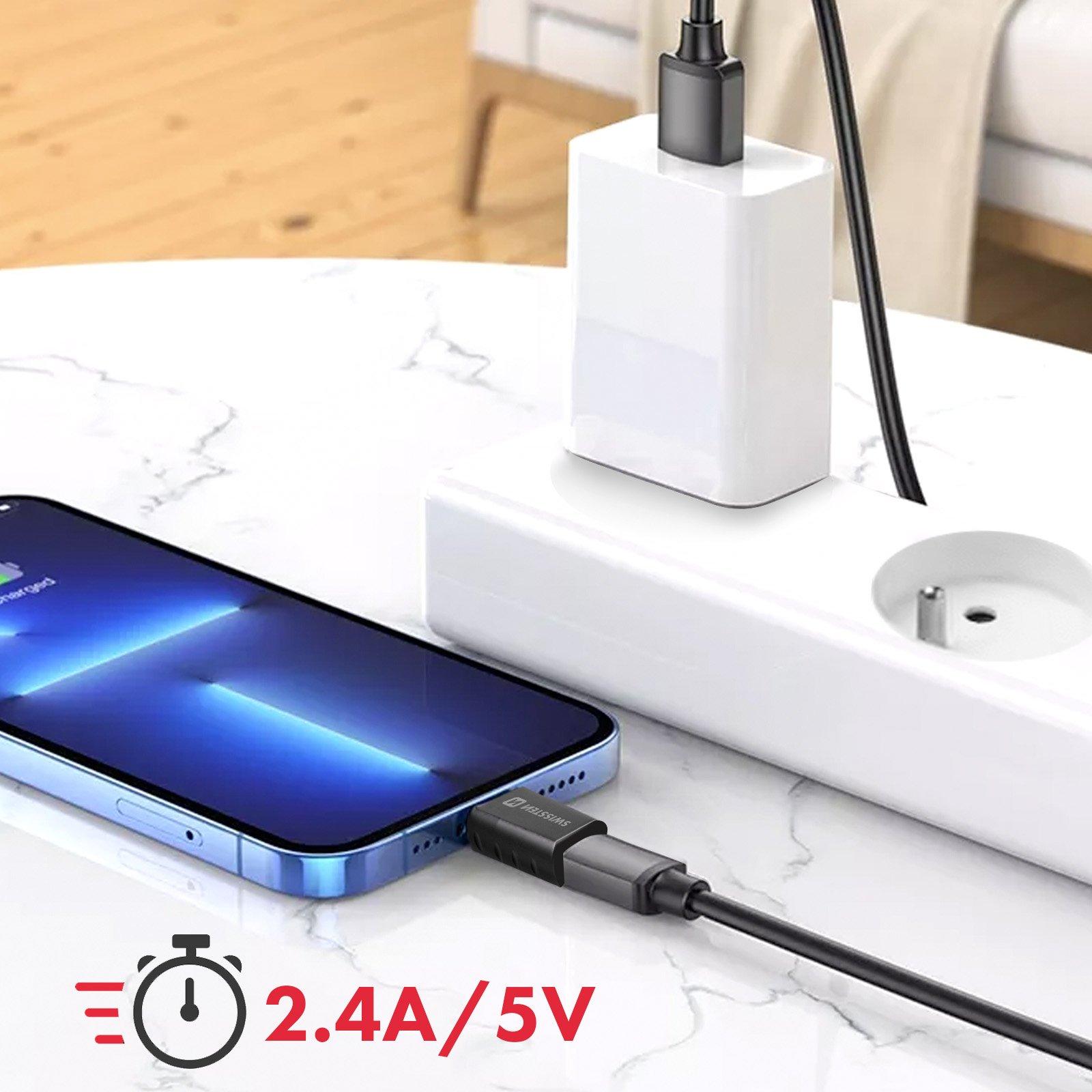 SWISSTEN  Adaptateur Lightning vers USB-C Swissten 