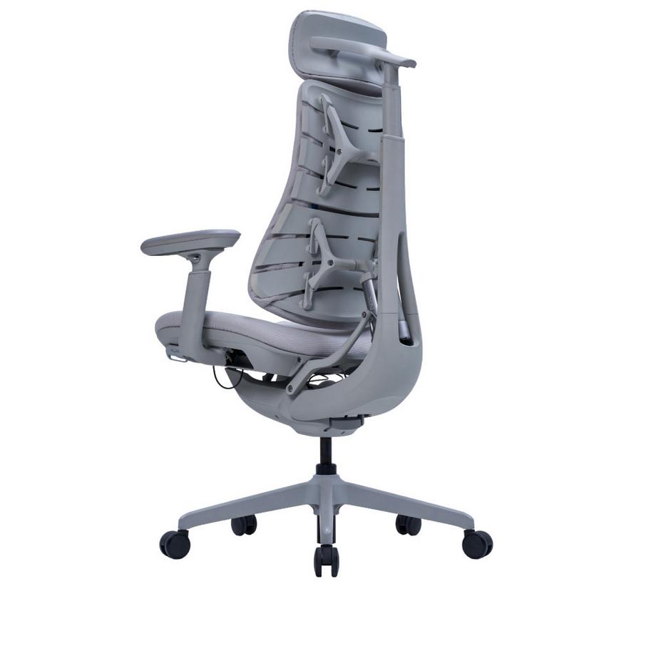 LiberNovo Omni Dynamic Ergonomischer Burostuhl  