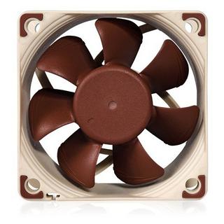 Noctua  Noctua 