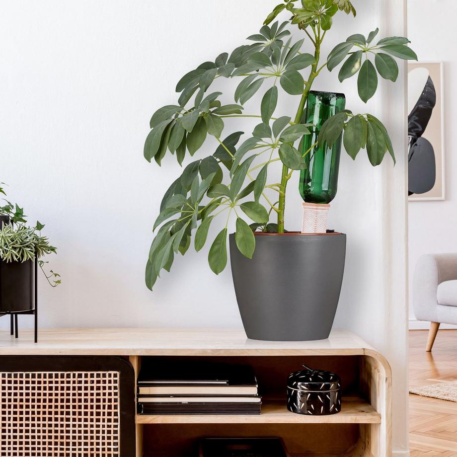 B2X  Tonkegel zur Bewässerung 4er Set 