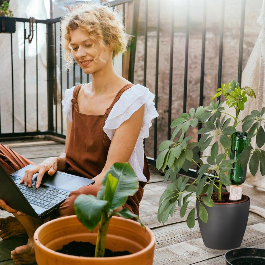 B2X  Tonkegel zur Bewässerung 4er Set 