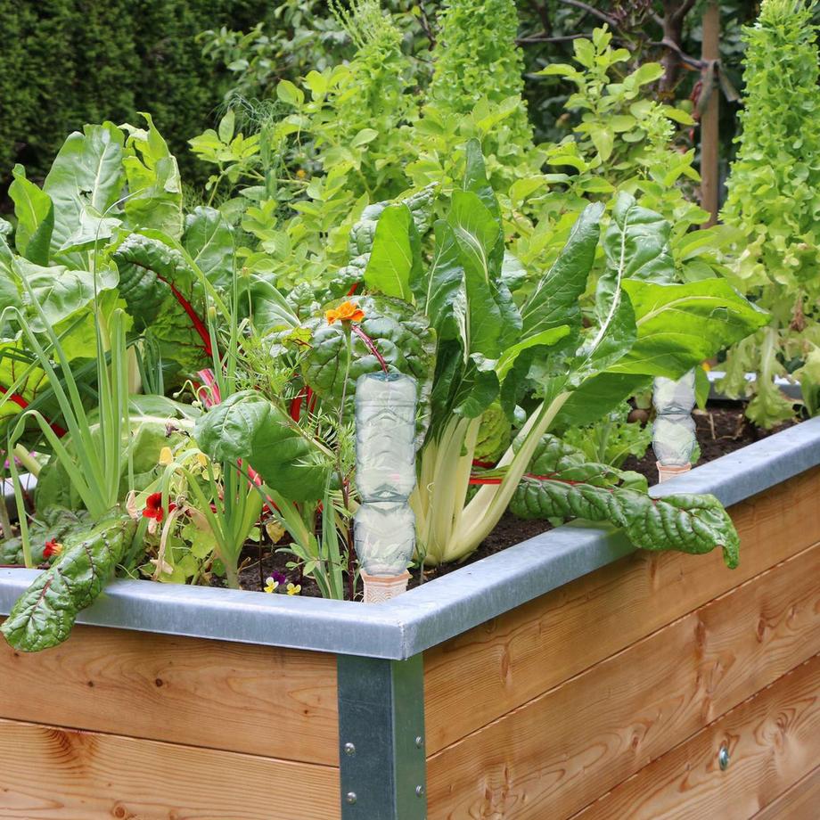 B2X  Tonkegel zur Bewässerung 4er Set 