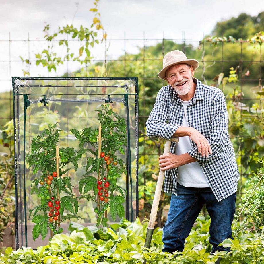 Northio  Tomatengewächshaus aus Kunststoff 