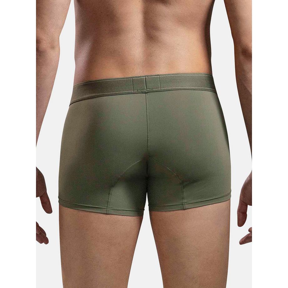 Clever Britanica Boxer  