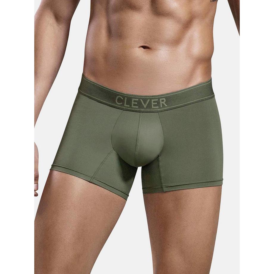 Boxer Britanica