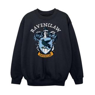 Harry Potter  Sweatshirt 