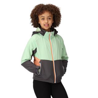 Regatta  Haydenbury Softshelljacke 