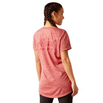 t-shirt rebar evolution