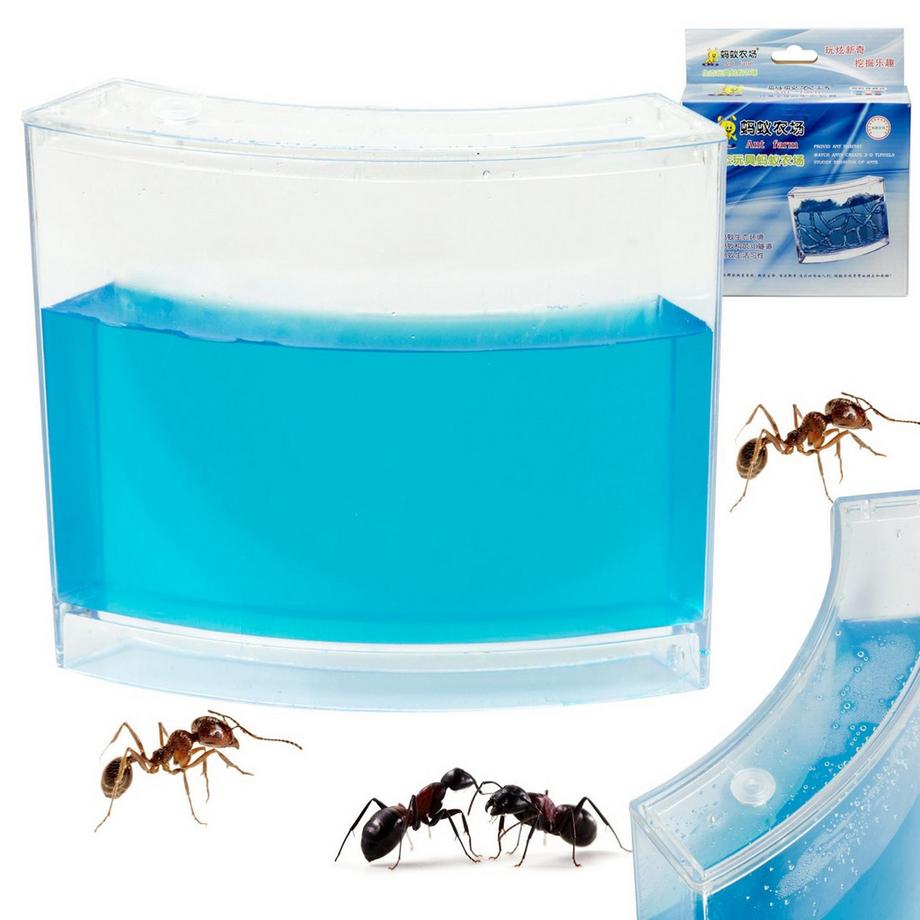 Pricenet  Aquarium en gel éducatif pour fourmis 