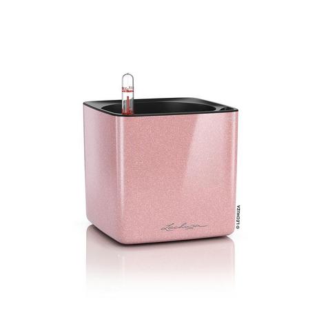 Lechuza CUBE Glossy Kiss all-in-one  