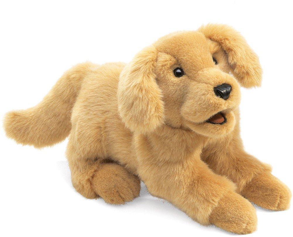 Image of Golden Retriever Baby Golden Retriever Puppy Braun