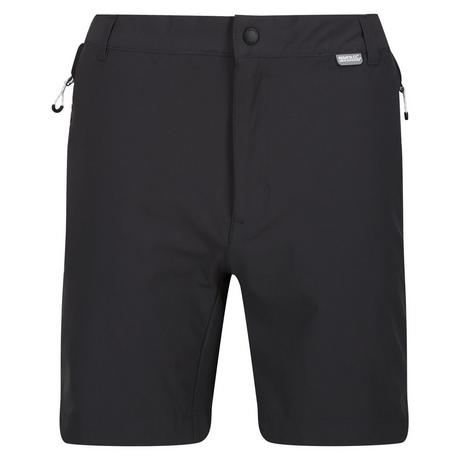 Regatta  Mountain II Shorts 