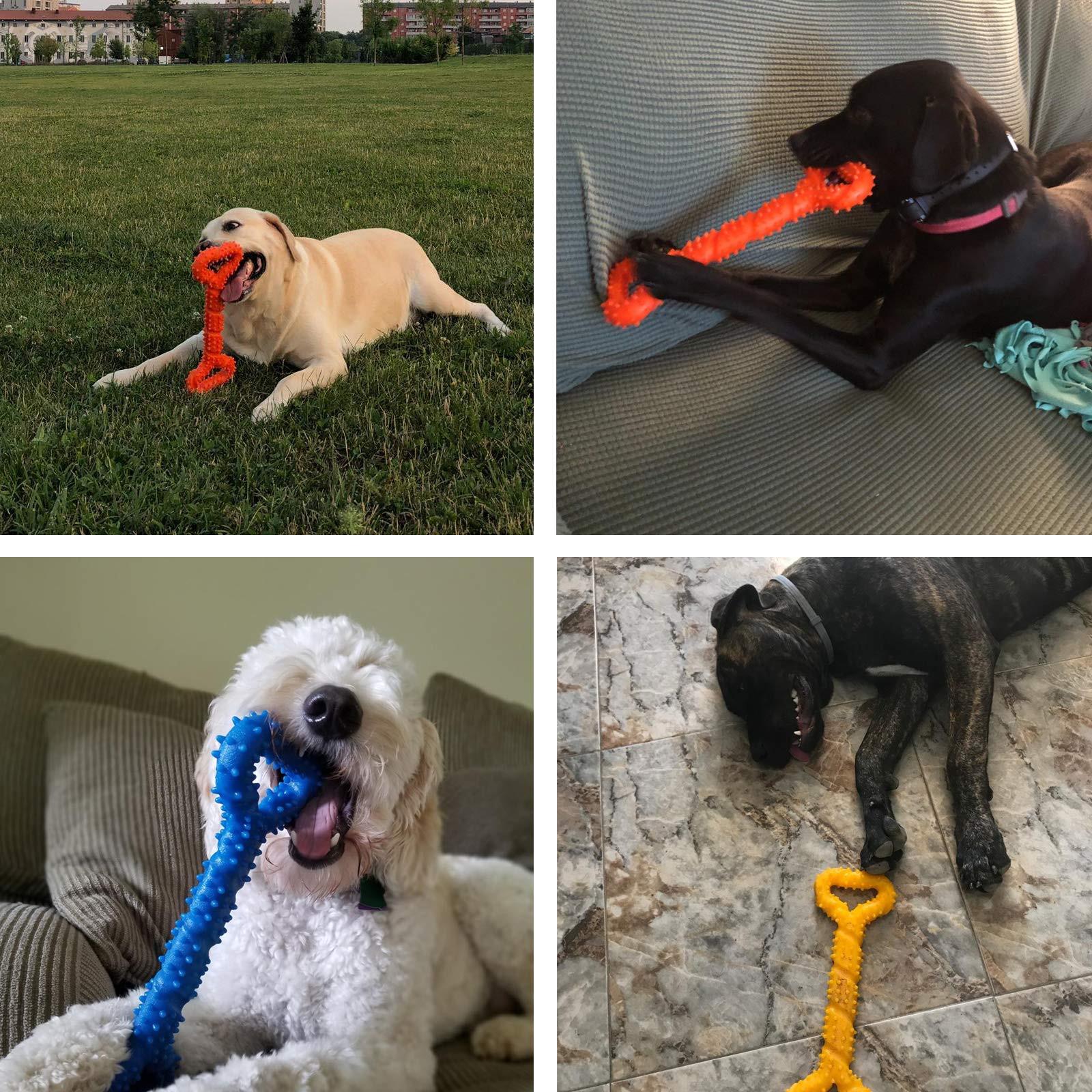 Alopini  Robustes Hundespielzeug in Form eines Kauknochens aus Hartgummi mit konvexem Design 