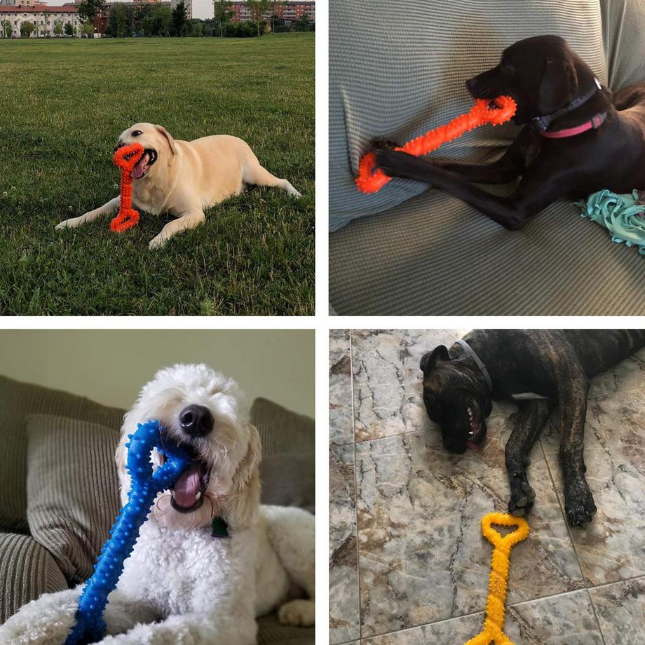 Alopini  Robustes Hundespielzeug in Form eines Kauknochens aus Hartgummi mit konvexem Design 