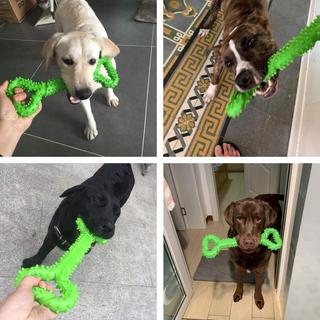 Alopini  Robustes Hundespielzeug in Form eines Kauknochens aus Hartgummi mit konvexem Design 