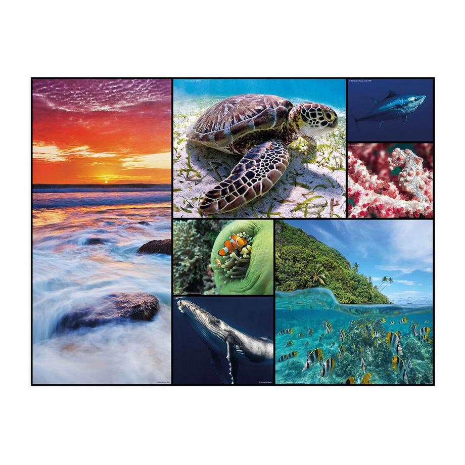 Ambassador  Puzzle Bodenpuzzle Ozean (48Teile) 