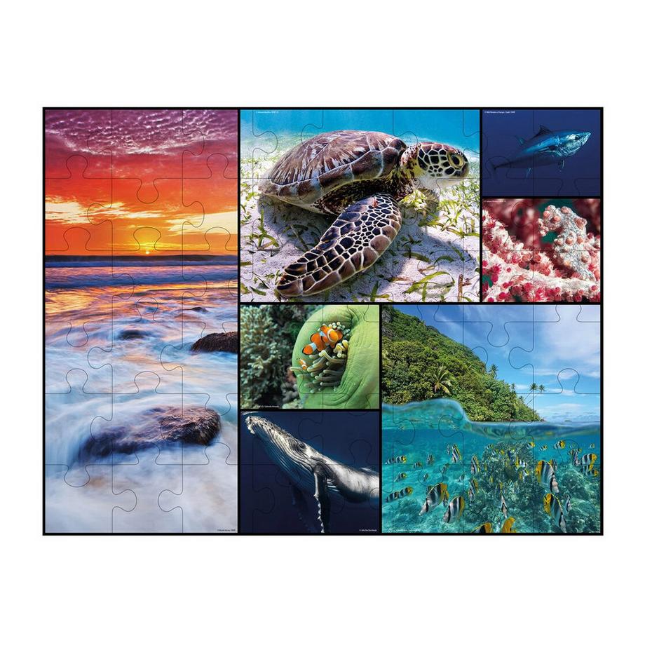 Ambassador  Puzzle Bodenpuzzle Ozean (48Teile) 