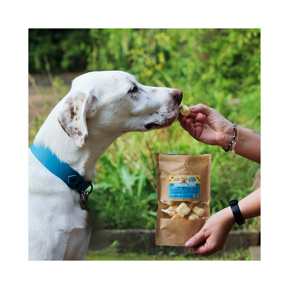 Sollis  Pops au fromage Himalaya 