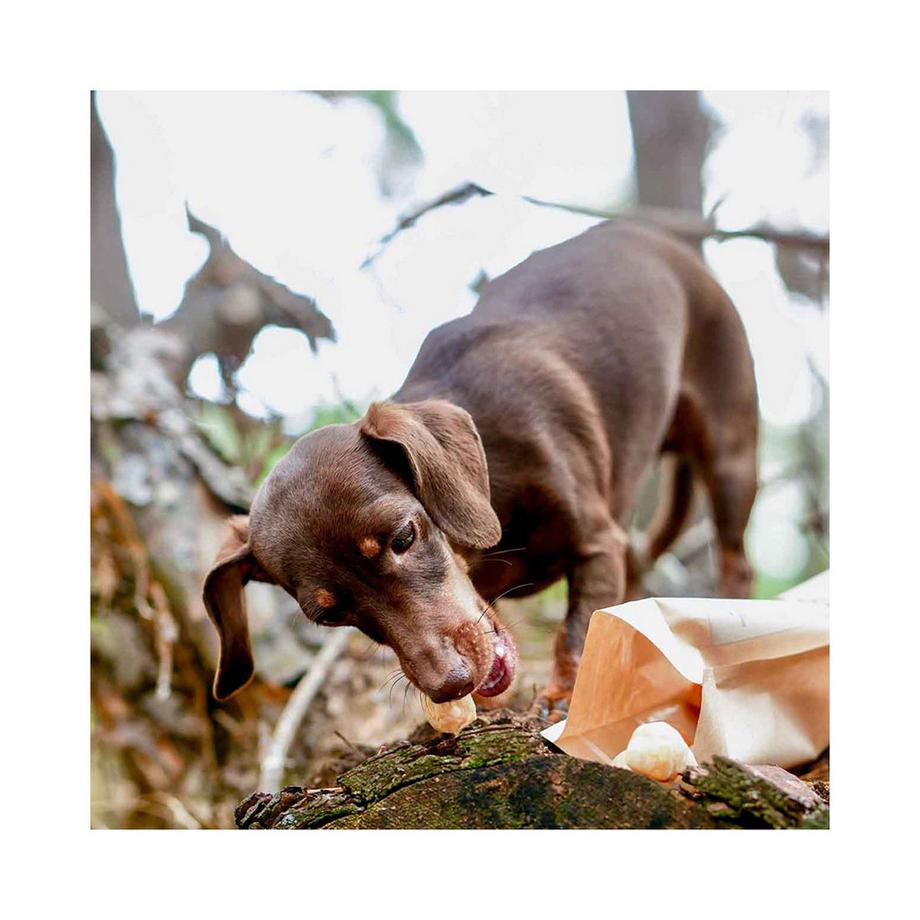 Sollis  Pops au fromage Himalaya 