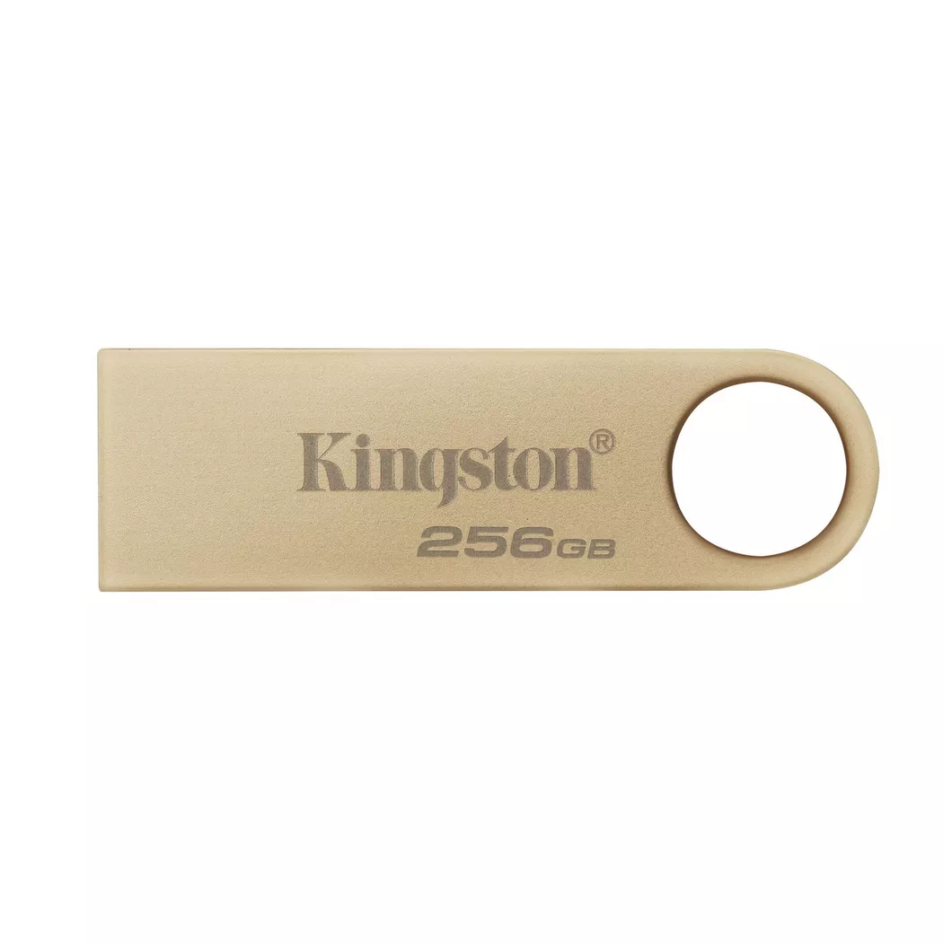 Kingston Technology DataTraveler 256GB 220MB/s Metal USB 3.2 Gen 1 SE9