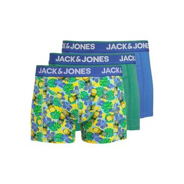 Pineapple-Skull Trunks