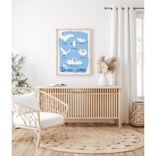 La-Jonx Cygnes du Léman - Poster  