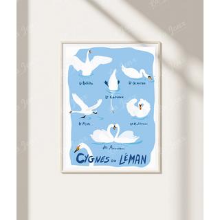 La-Jonx Cygnes du Léman - Poster  
