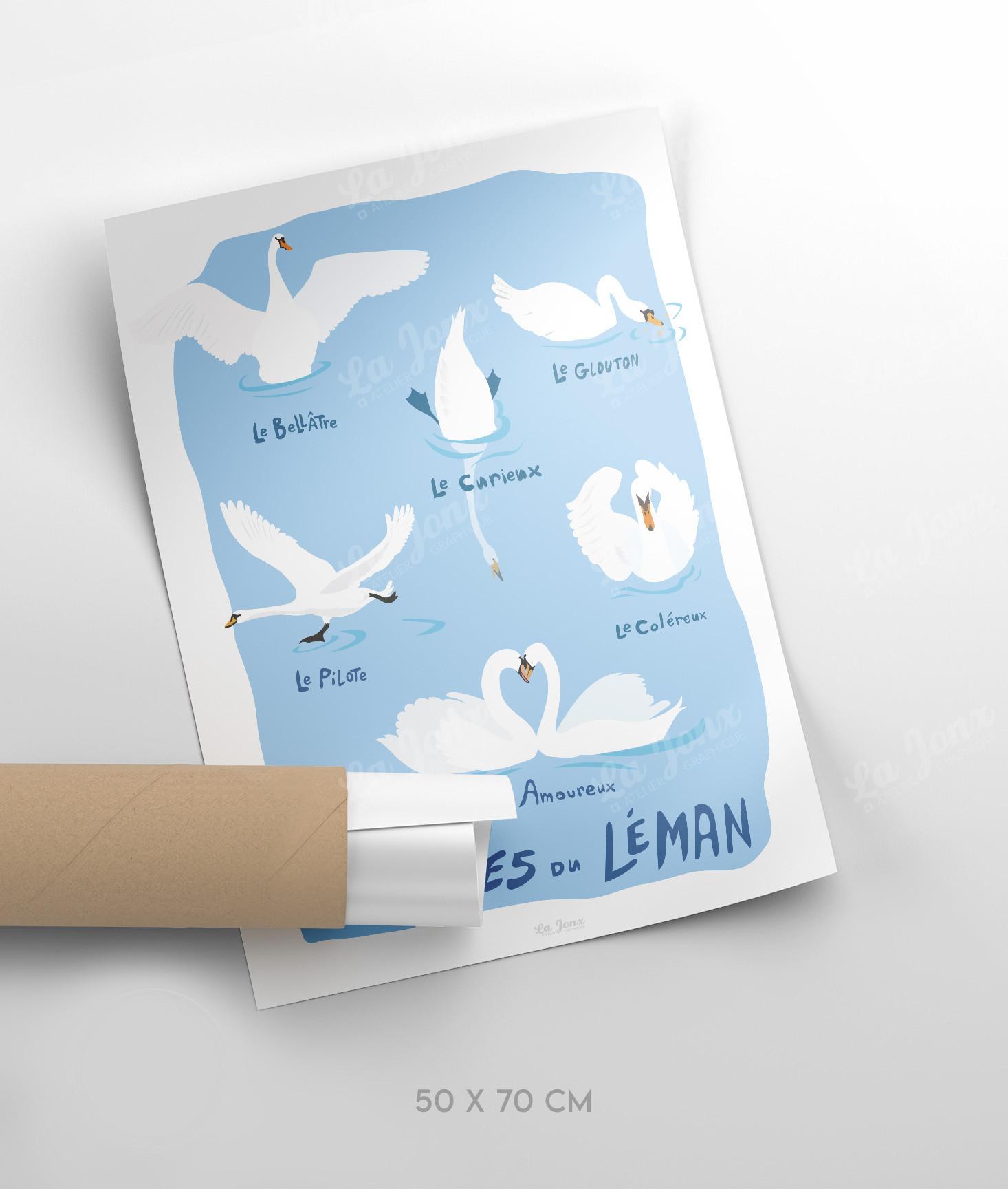 La-Jonx Cygnes du Léman - Poster  