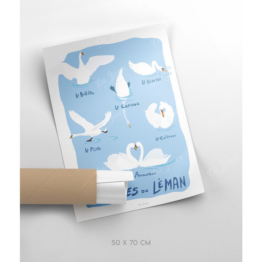 La-Jonx Cygnes du Léman - Poster  