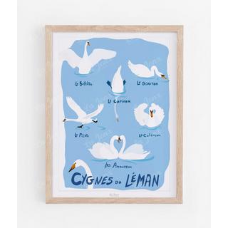 La-Jonx Cygnes du Léman - Poster  