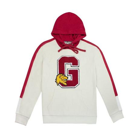 Harry Potter  Sweat à capuche GRYFFINDOR 