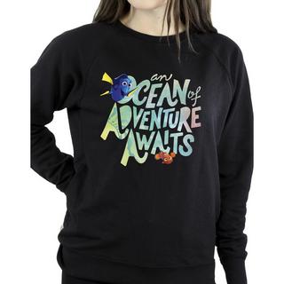 Disney  Finding Dory Adventure Sweatshirt 