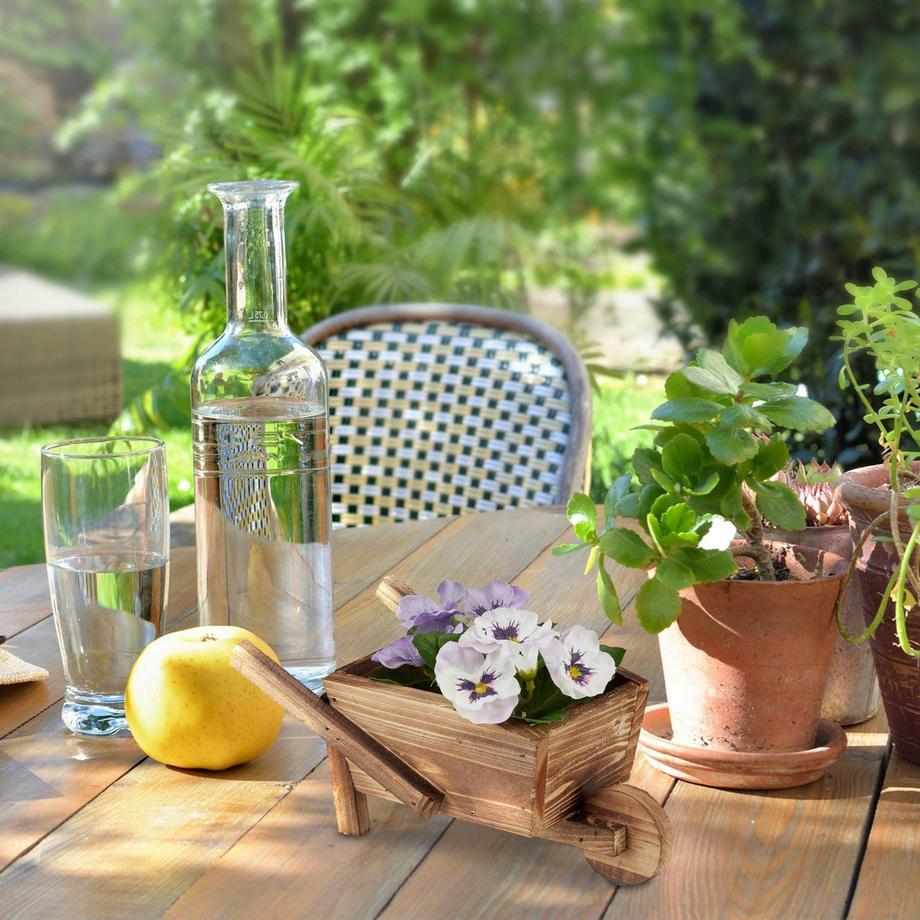 B2X Set di 2 carriole per piante  